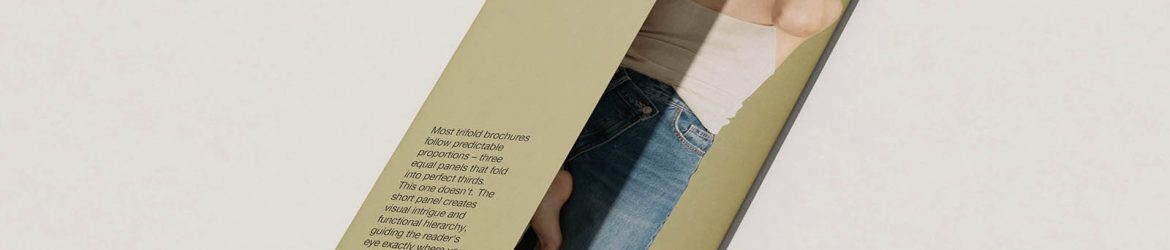 Asymmetric DL trifold flyer mockup