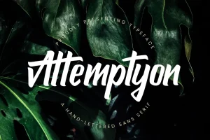 Attemptyon Handwritten Font