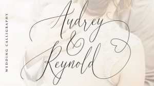 Audrey & Reynold Script Font › Fontesk