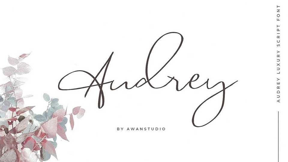 Audrey Script › Fontesk