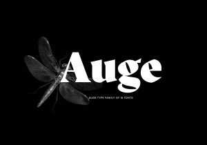 Auge Font Family