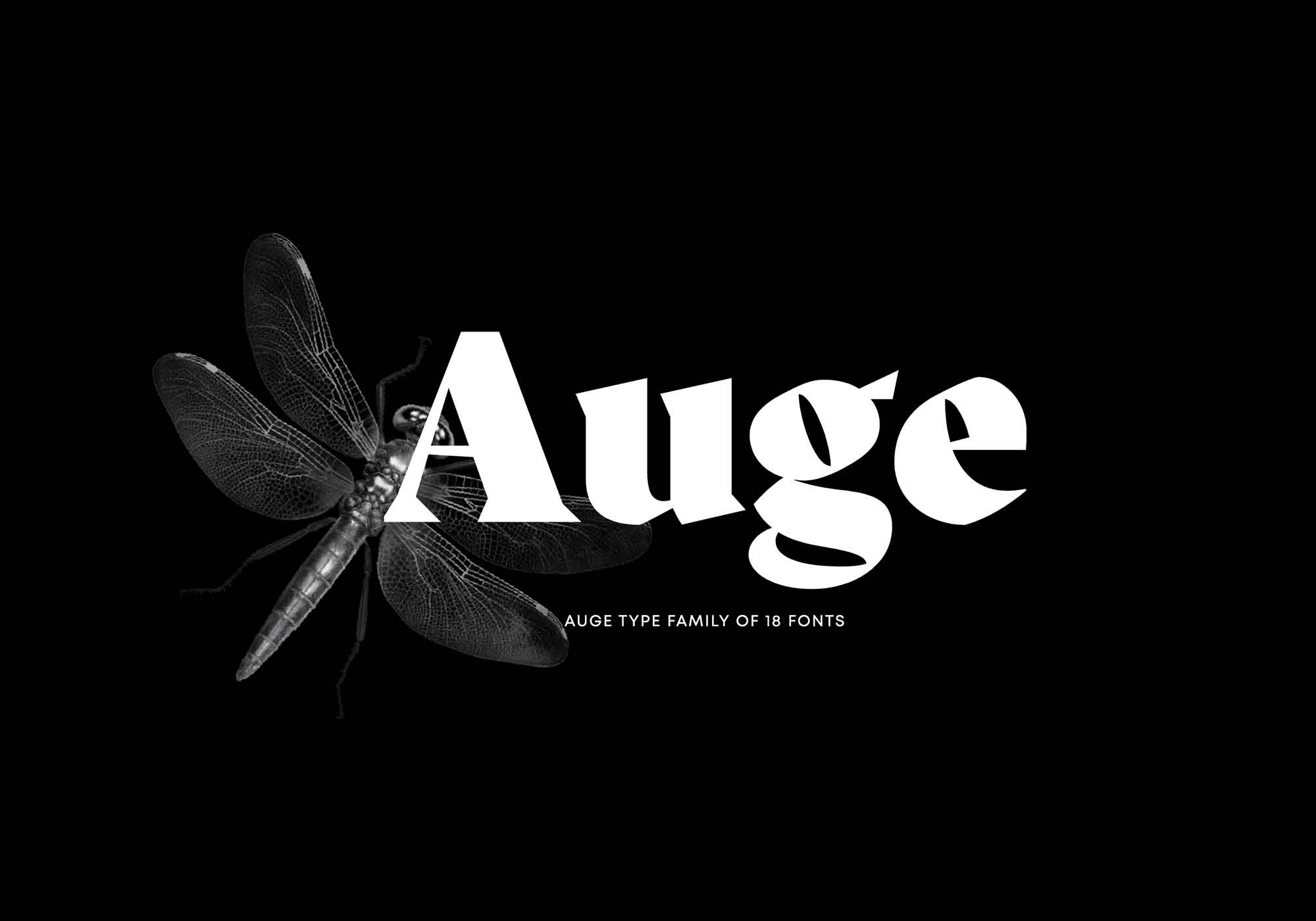 Auge Font Family