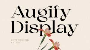 Augify Display Font › Fontesk