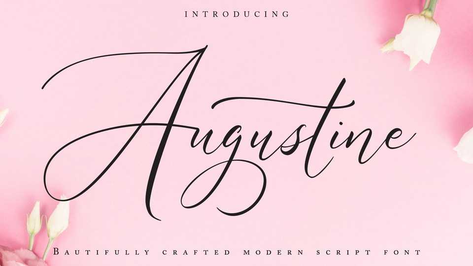 Augustine Script Font › Fontesk