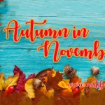 Autumn in November Font