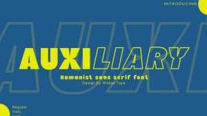 Auxiliary Font › Fontesk
