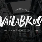 Availa Brush Font