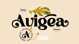 Avigea Font › Fontesk