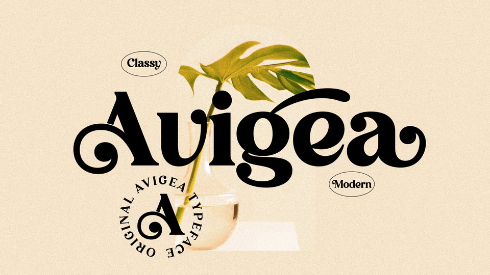 Avigea Font › Fontesk