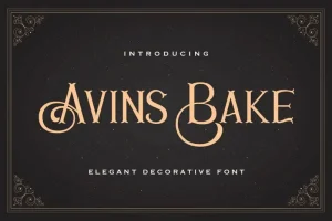 Avins Bake Display Font