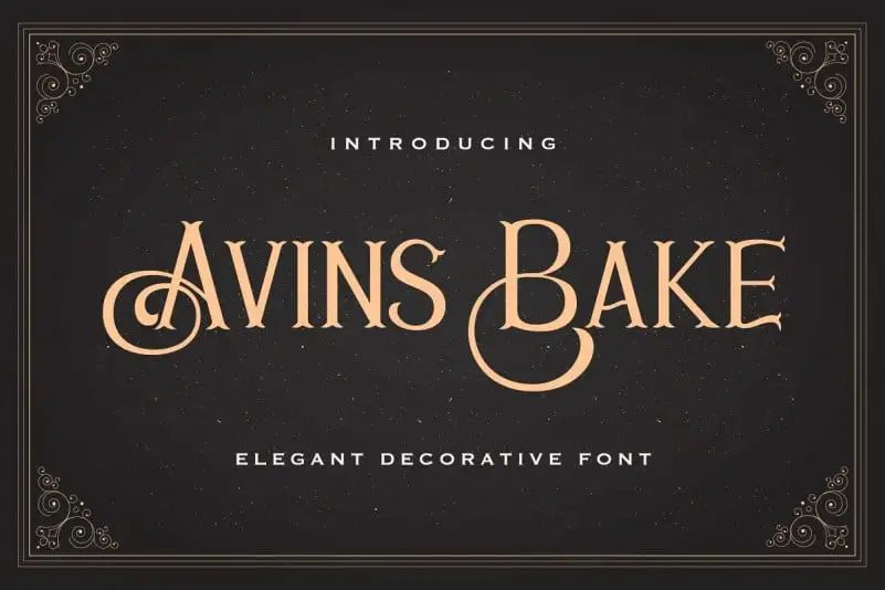 Avins Bake Display Font