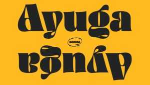 Ayuga Font › Fontesk