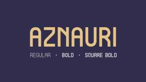 Aznauri Font Family › Fontesk