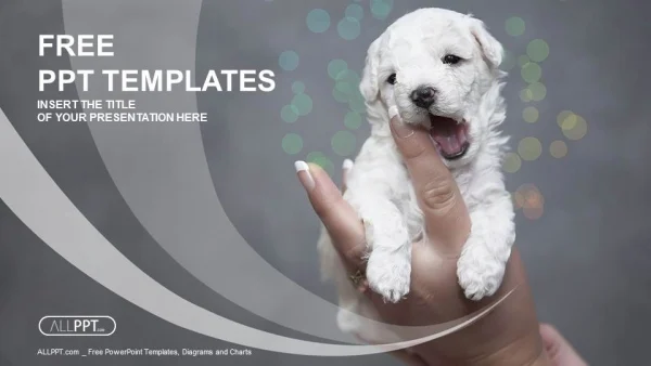 Baby puppy being held in the hand PowerPoint Templates
