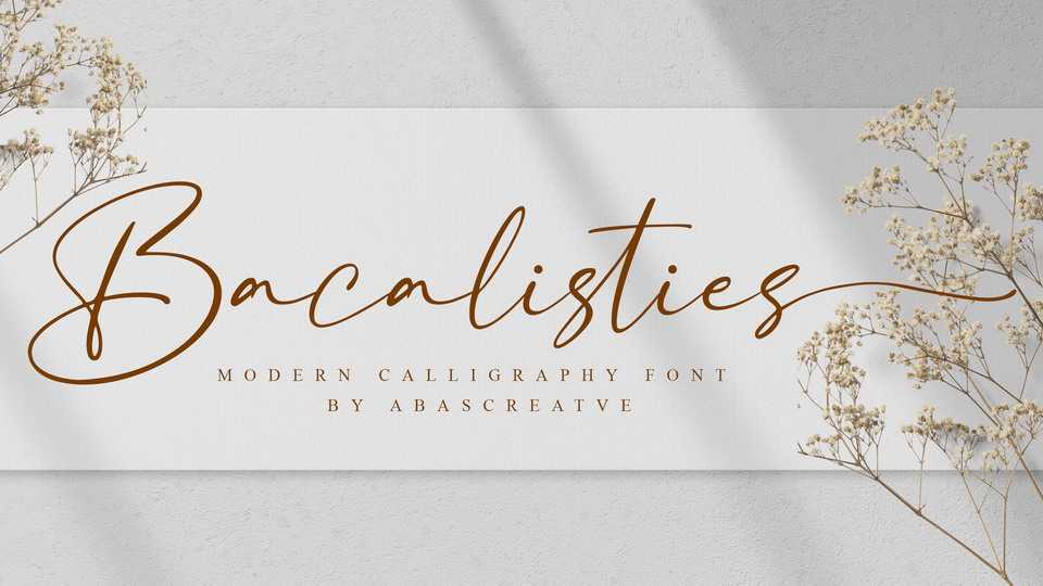 Bacalisties Script Font › Fontesk