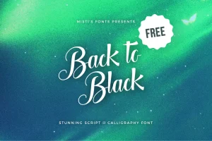 Back to Black Font