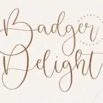 Badger Delight Script Font
