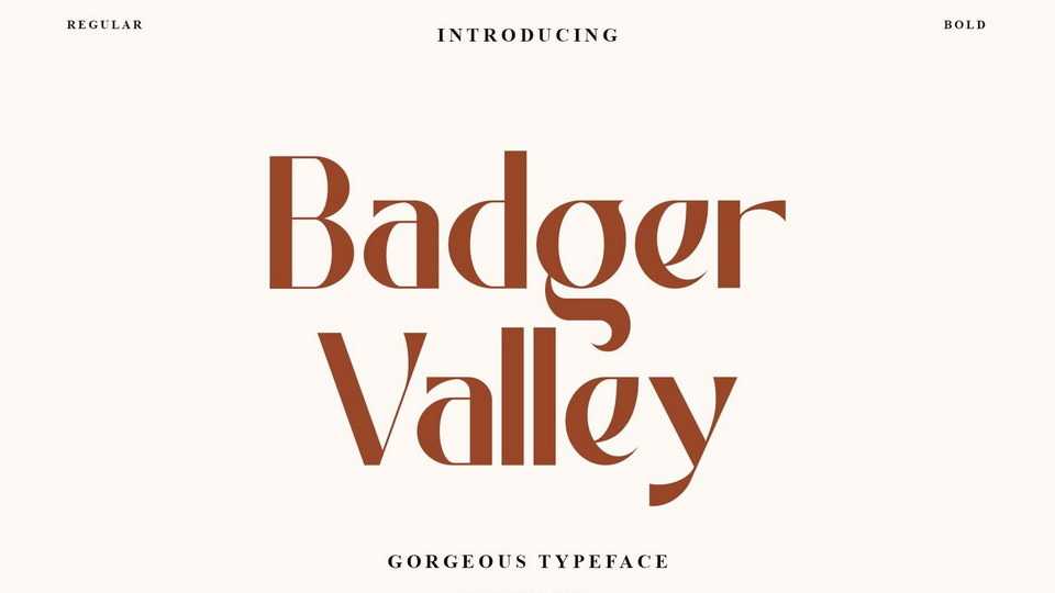Badger Valley Font › Fontesk
