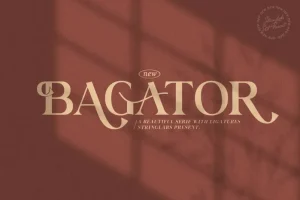 Bagator Serif Font