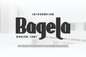 Bagela Sans Serif Font