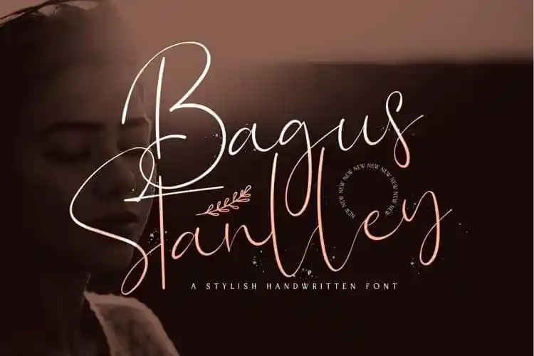 Bagus Stanlley Script Font