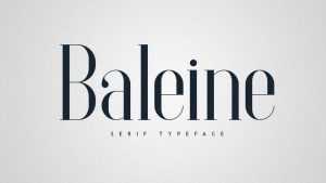 Bailene Font › Fontesk