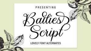 Bailies Script Font › Fontesk
