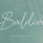 Baldive Signature Monoline Font