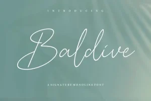 Baldive Signature Monoline Font