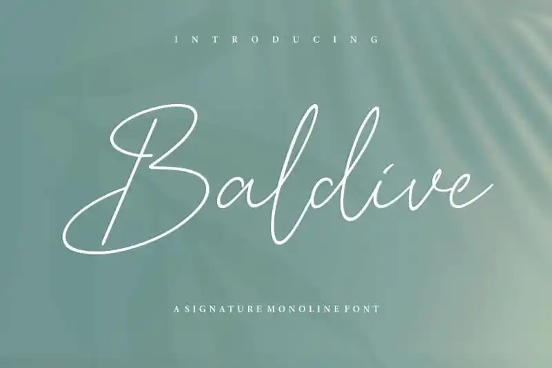 Baldive Signature Monoline Font