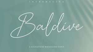 Baldive Signature Script Font › Fontesk