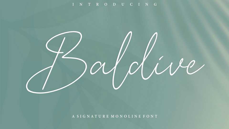 Baldive Signature Script Font › Fontesk