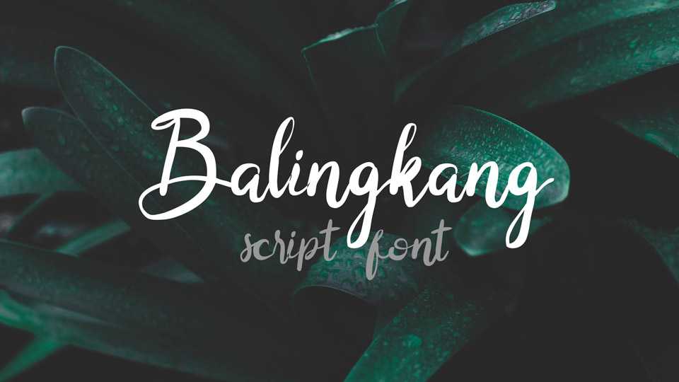 Balingkang Font › Fontesk