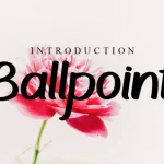 Ballpoint Script Font