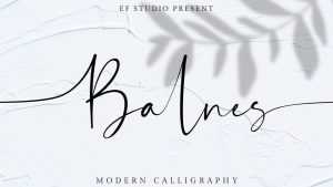 Balnes Script Font › Fontesk