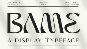 Bame Font › Fontesk