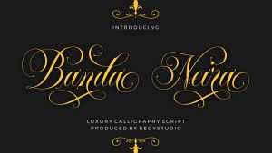 Banda Neira Script Elegant Font › Fontesk
