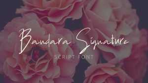 Bandara Signature Script Font › Fontesk
