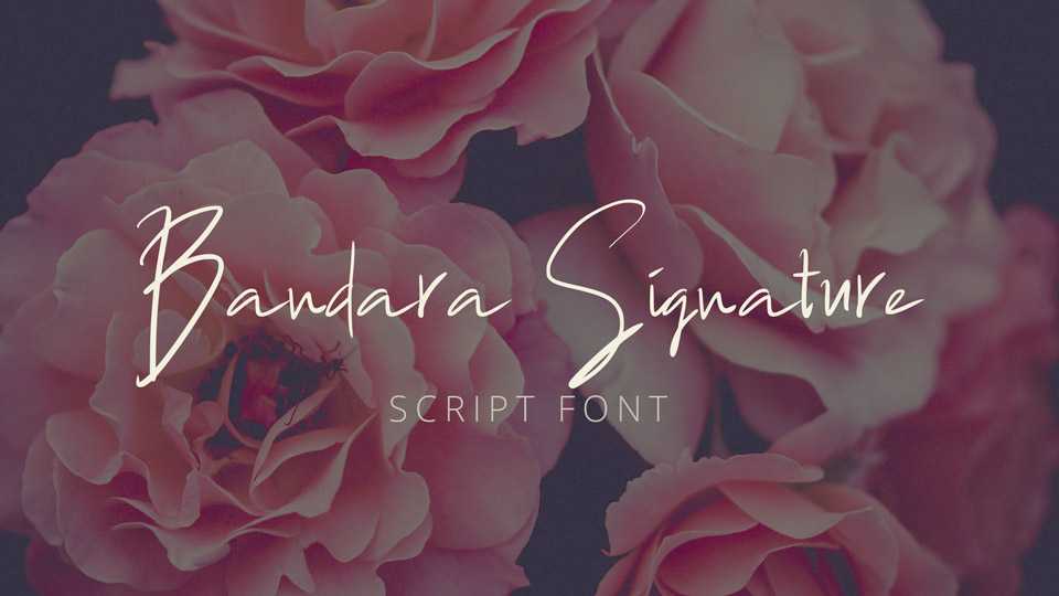 Bandara Signature Script Font › Fontesk