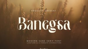 Banegsa Font › Fontesk