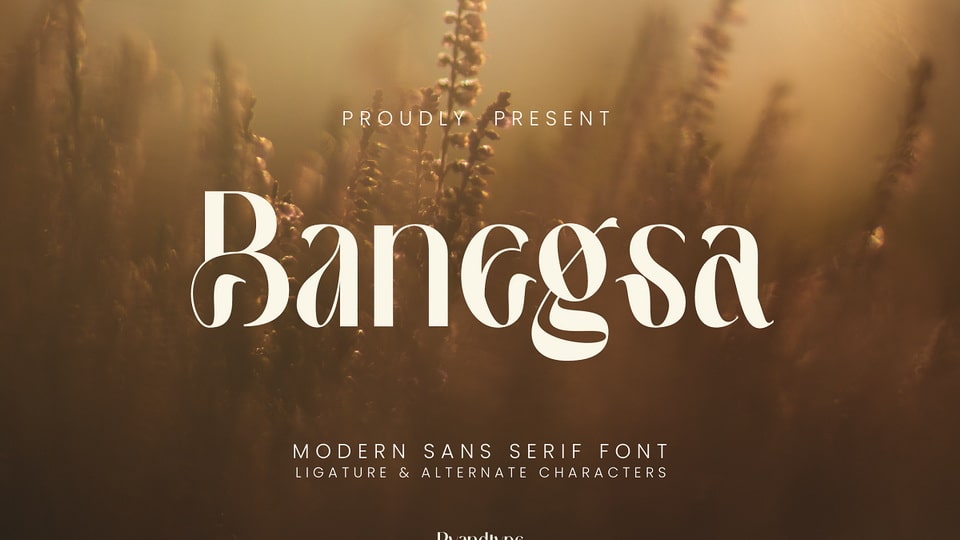 Banegsa Font › Fontesk