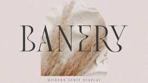 Banery Font › Fontesk