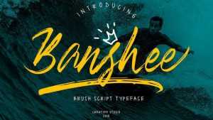 Banshee Script Font › Fontesk