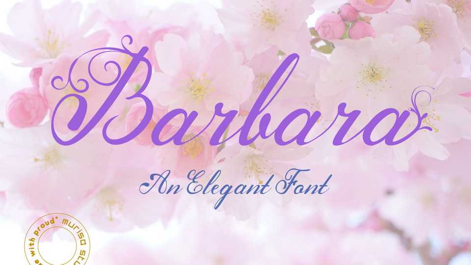 Barbara Script Font › Fontesk