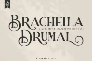 Barchella Drumal Display Font