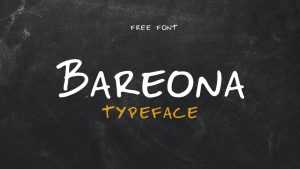 Bareona Font › Fontesk