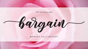 Bargain Font › Fontesk