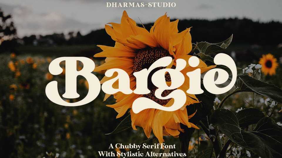 Bargie Font › Fontesk