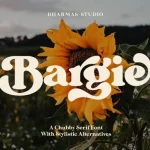 Bargie Serif Font