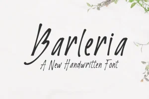 Barleria Script Font